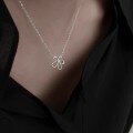 wholesale S925 Sterling Silver Artisan Miracle Flower Micro-Inlaid Zircon Five-Petal Necklace for Women, Light Luxury Small Batch Design, Ins Style-0-3