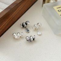 wholesale 3D Hard Silver Zodiac Snake Jewelry Accessory DiY Bracelet Matching Versatile Birth Year Amulet-Money snake old