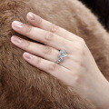 S925 Sterling Silver Fashion Luxury Zircon Ring Clearance, Free Shipping-0-15