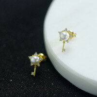 wholesale Metal Star Pearl Stud Earrings Minimalist Women Korean Style Key Small New Trendy-Star Key Bread Bead Earrings 925 Silver
