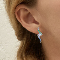 wholesale S925 Sterling Silver Fashion Earrings with Colorful Zircon Inlay and Line Design, Luxurious and High-End Autumn/Winter Earrings for Wholesale-14K white gold earrings > 925 silver
