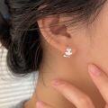 wholesale S925 Sterling Silver Floral Stud Earrings Women New Korean Style Fresh and Minimalist Forest-themed Sweet Earrings-0-2