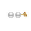 wholesale S925 Sterling Silver Cloud-Pull Earrings with Simple Design Near-Round 3-6mm Freshwater Pearls, Korean Style Manufacturer-0-12