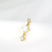 wholesale 925 Sterling Silver Star Earrings With Opal, Minimalist Luxury European And American Style Ear Studs For Women-Single gold-type B 925 silver