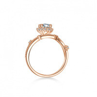 S925 Sterling Silver 1ct Moissanite Women's Wedding Branch Asymmetric Ring-50 points (Moissanite)  No. 11