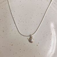 wholesale S925 silver summer niche small shell pendant necklace, ins blogger same style collarbone layered cold-toned snake chain-Shell Necklace - Silver>925 Silver