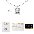 S925 Silver Moissanite Detachable Choker Necklace Wholesale-0-6
