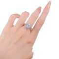wholesale Metal Material S925 Silver European and American Style Ring Fashionable and Exquisite Marriage Engagement Index Finger Ring-0-4
