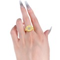 wholesale S925 silver gold-plated brushed hexagram ring, minimalist style women's fashion ins ring-0-4