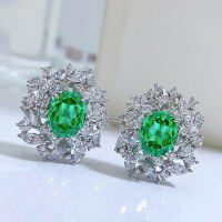 wholesale 925 Silver New Jewelry Brazilian Paraiba Earrings for Women High-end Luxury Dazzling Rich Lady Style European and American Fashion Earrings-E119 Green Earrings>925 Silver