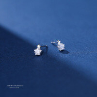 wholesale Sterling Silver Five-pointed Star Ear Studs Women New Trendy Ins Niche Light Luxury Feeling Star Earrings Elegant Ear Accessories-E2343_Platinum