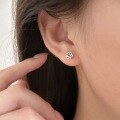 wholesale 999 Silver Sterling Small Fresh and Delicate Rose Flower Ear Studs for Women, Simple and Minimalist Student Earrings, Korean Style for Healing Ear Piercings-0-1