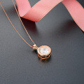 wholesale S925 Sterling Silver Rose Gold Plated Fashion Minimalist Geometric Circle Zircon Pendant Necklace for Women-0-2