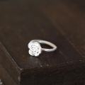 wholesale Silver S999 Maker Rose Open Ring for Women, Small and Unique Design, Sweet and Elegant, High-End Minimalist Hand Jewelry-0-1
