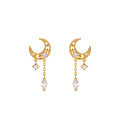 wholesale S925 Silver Korean and Japanese Small Accessories Zircon Star and Moon Symmetrical Earrings for Women, Versatile and Stylish Tassel Hypoallergenic Earrings-0-4