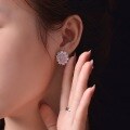 wholesale 925 Silver Jewelry New 2ct High Carbon Diamond Earrings for Women, High-End Ice Flower Cut Pink Oval 7*9-0-3