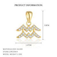 wholesale S925 Sterling Silver Cross-border Twelve Zodiacs Exquisite Personality Choker Necklace For Women, Light Luxury Fashion Pendant, European And American Versatile-A4146-Aquarius/Single Pendant 925 Silver