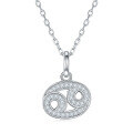 wholesale S925 Silver New Classic Twelve Zodiac Signs Series Pendant with D Color Moissanite, Unisex Necklace-0-14