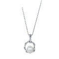 wholesale S925 Sterling Silver Cold Style Irregular Natural Freshwater Pearl Necklace for Women, Small and Minimalist, Retro and Unique, Elegant Collarbone Chain-0-4
