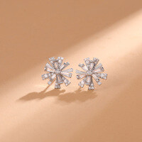 wholesale S925 sterling silver small and delicate minimalist crystal stud earrings for women, cross-border new trendy accessories-Snowflake Earrings>925 Silver