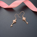 wholesale S925 Sterling Silver Minimalist Diamond Key-shaped Zircon Ear Studs, Korean Style Popular Women's Earrings-0-2