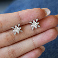 S925 Silver Moissanite Stud Earrings, Star Queen Source Factory Wholesale-0-2