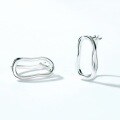 wholesale S925 Sterling Silver New European and American Style Irregular Minimalist Ins Earrings, Wholesale of Unique Design Earrings-0-4