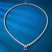 wholesale Metal material, adjustable length necklace collarbone chain with pendant for versatile wearing, Zhuozhifan Jewelry new collection-N333 All-match chain 925 silver