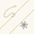 wholesale S925 Sterling Silver New Ins Style Snowflake Moissanite Necklace for Women, High-End Sense Pendant, Versatile Collarbone Chain-0-2