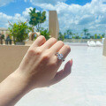 S925 Sterling Silver Fashion Ins Lightweight Luxury Flash Zircon Ring Small Batch Design-0-2