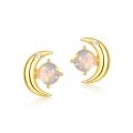 wholesale S925 Silver New Korean and Japanese Light Luxury Opal Crescent Moon Earrings Women's Fashion Trendy Stud Earrings One Piece Drop Shipping-0-5