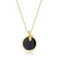 wholesale S925 Silver New European and American Stylish Large Serpentine Black Onyx Necklace for Women, Factory Direct-0-5