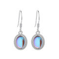 wholesale 925 Sterling Silver TEMU Amazon New Oval Moonstone Earrings for Women, European and American Fashion Minimalist Hook Earrings-0-4