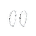 wholesale S925 Sterling Silver European and American Cross-Border Fashion Trend OL Twisted Wave-Shaped Fresh and Stylish Design Earrings-0-4