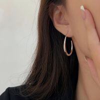 wholesale S925 Sterling Silver Heavy Workmanship Circle Hoop Earrings Women New Trend High-End Minimalist Style Earrings-Sterling silver