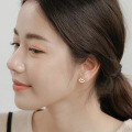 wholesale 925 Silver Chinese Style Earring Series For Women, Screw-back Ear Cartilage Studs In Pure Silver Wholesale-0-4