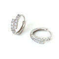 S925 Sterling Silver Moissanite Classic Ultra-Sparkling Light Luxury Commuter Stud Earrings-0-4