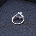 wholesale S925 Sterling Silver Light Luxury High-End Personalized Colored Gemstone Ring,。-0-2