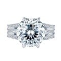 wholesale 925 Silver New 10-Carat High Carbon Diamond Firework Cut European and American Luxury Ultra-Sparkling Proposal Ring Live Drop Shipping-0-0