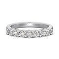wholesale S925 Sterling Silver European and American Wedding Style Women's Fashion Geometric Round Row of Zirconia Embedded Ring with a Sense of Sophistication-0-11