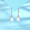wholesale 925 Sterling Silver Opal Earrings for Women, Summer European and American High-End Elegant Oval Australian Opal Gemstone Ear Drops Ear Jewelry-0-0