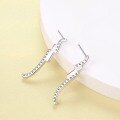 wholesale S925 Sterling Silver Minimalist Personality Long Tassel Zircon Earrings for Women, High-End Small Luxe Style, Small Unique Design-0-2