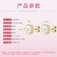 Metal Classic Princess Pearl Zircon Earrings, Cross-Border Best-Seller-Style H [Clearance Sale with Free Shipping]  925 Silver