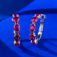 wholesale S925 Sterling Silver Full Diamond Hoop Earrings, European and American New Style, Women's Luxury Inlaid Fashion Ins Style-E498 Red Diamond 925 Silver