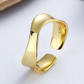 wholesale S925 Sterling Silver Irregular Smooth Twist Open Ring, European and American Creative Fashion Light Luxury Internet Celebrity Trendy Women's Ring-0-2