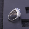 wholesale S925 Silver Inlaid with Colorful Crystal Ring, Fashionable Luxurious Personalized Design High-End Group Setting Gemstone Ring-0-3