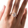 wholesale [gold] S925 silver gorgeous style oval moissanite ring for women, golden crown floral halo setting, European and American style-0-3