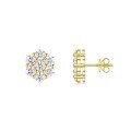wholesale 925 Sterling Silver French-style Floral Stud Earrings, Gold Plated, Luxury Moissanite Women's Earrings, Trendy and Elegant-0-6