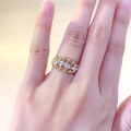 wholesale S925 Gold-Plated Silver Zhuzhu Fashion Row Ring, Trendy Jewelry Romantic Series for Women-0-3