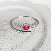 wholesale S925 Sterling Silver Retro Snake Bracelet for Women, Unique Fashion Niche High-End Solid Open-End Serpent Bangle-xb1132- platinum red